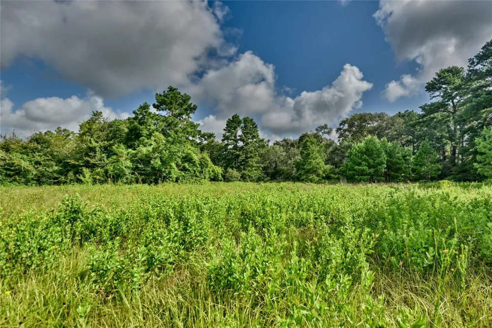 3959 E Hwy 105 Highway E Navasota, TX 77868