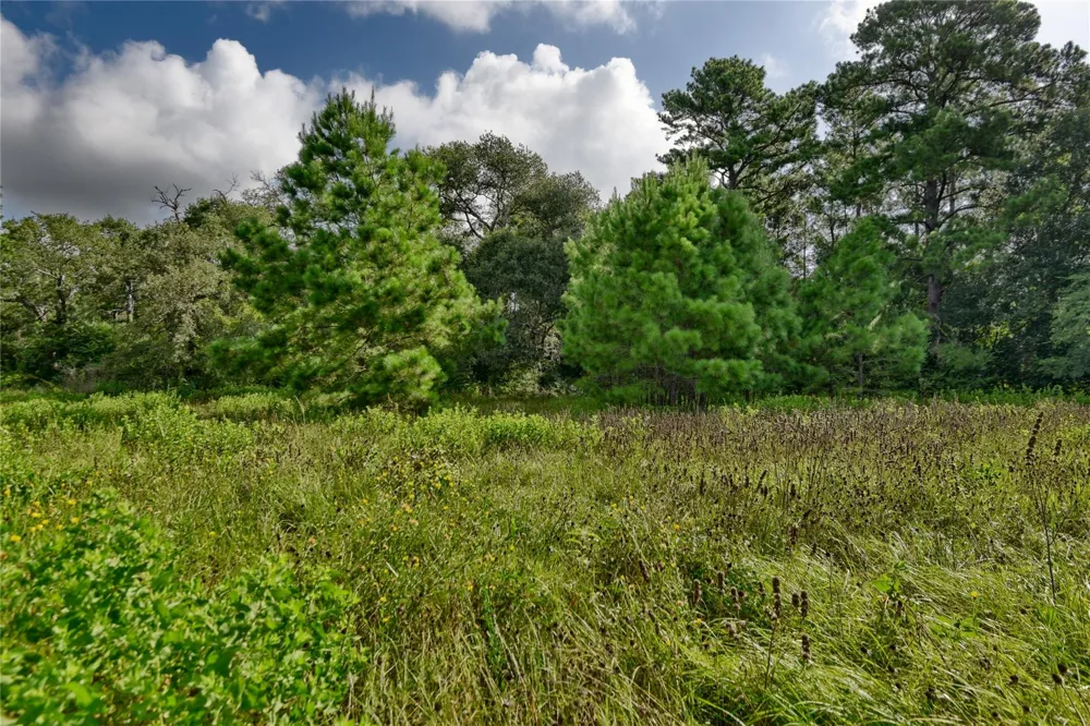 3959 E Hwy 105 Highway E Navasota, TX 77868
