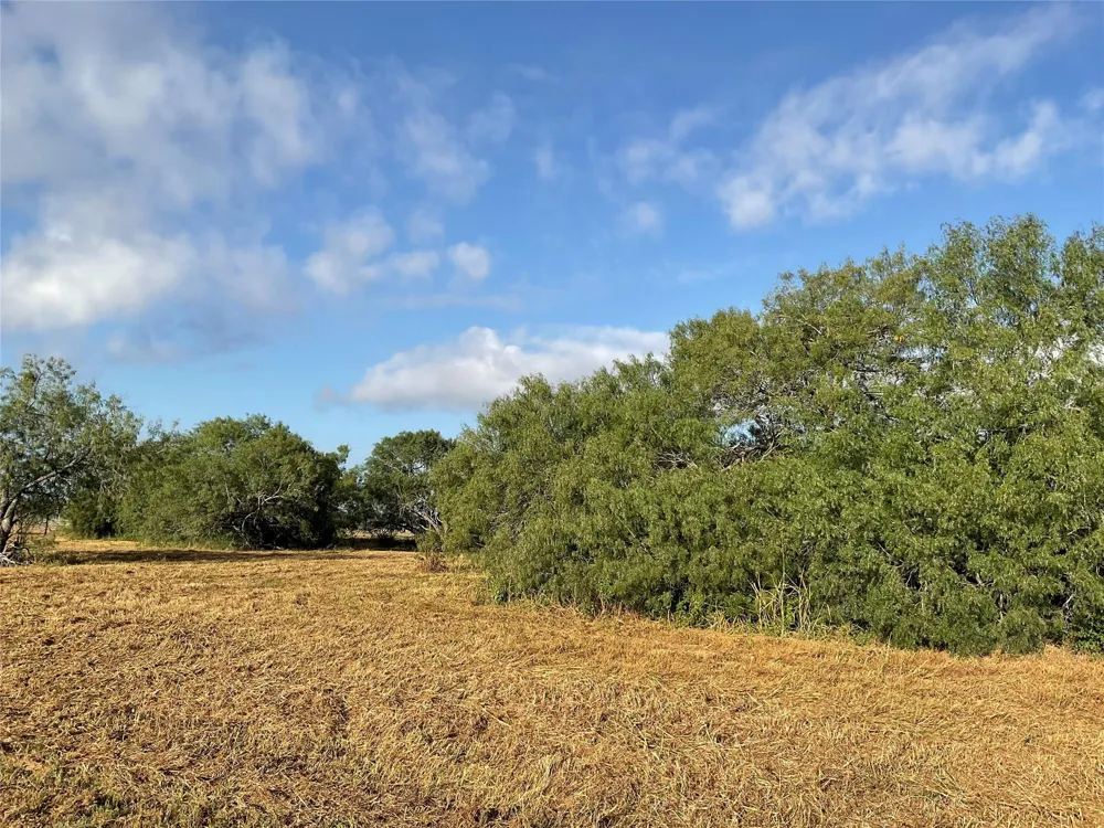 1932 Old Goliad Road Cuero, TX 77954