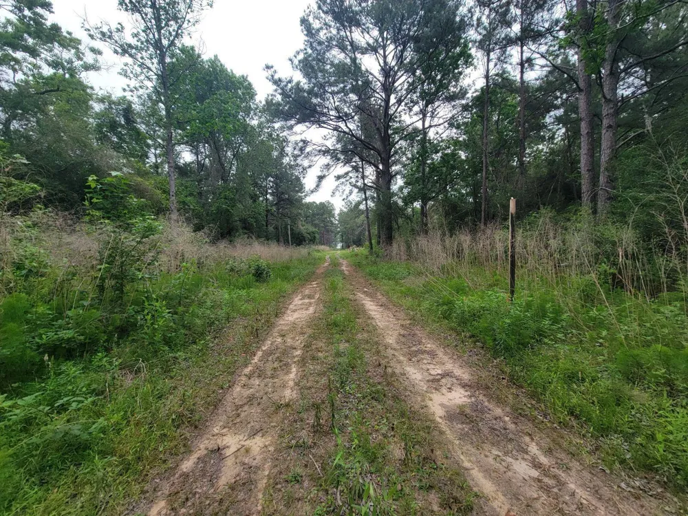 Hardy Rd Houston, TX 77073