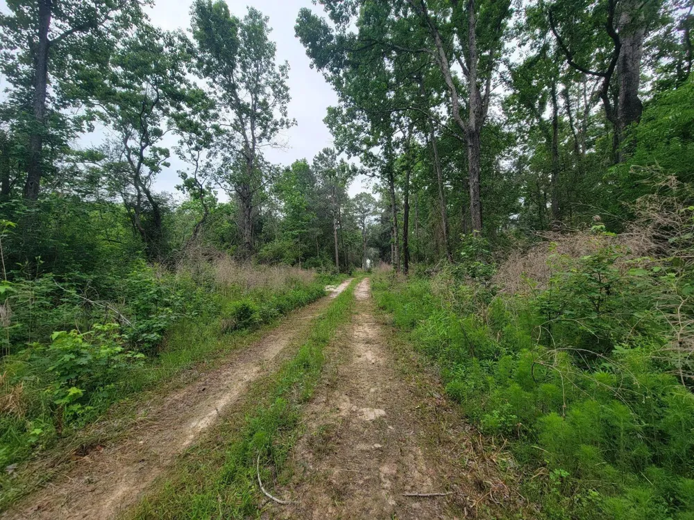 Hardy Rd Houston, TX 77073