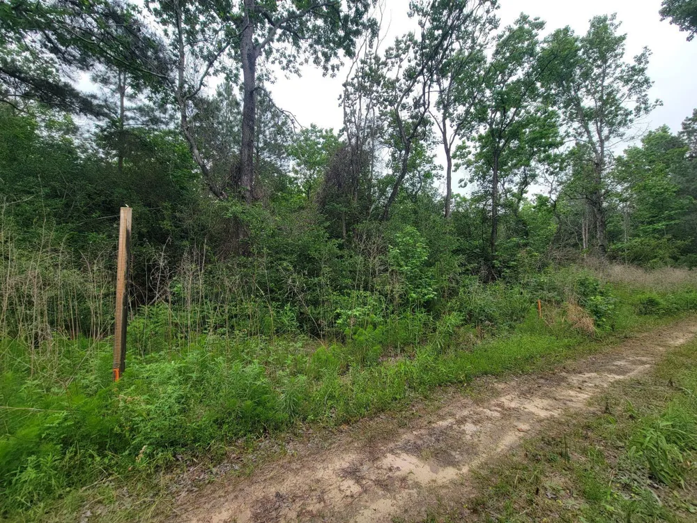 Hardy Rd Houston, TX 77073