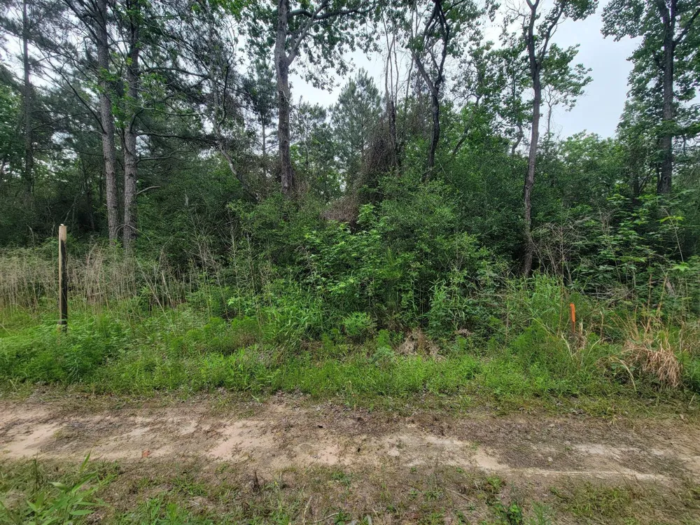 Hardy Rd Houston, TX 77073