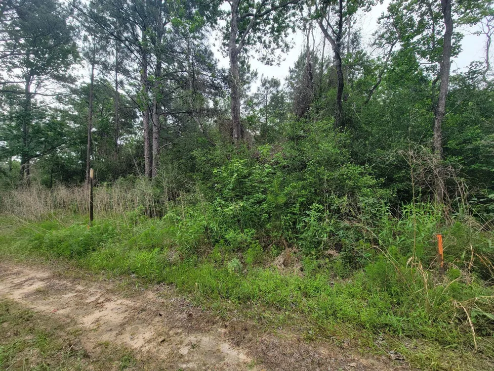 Hardy Rd Houston, TX 77073