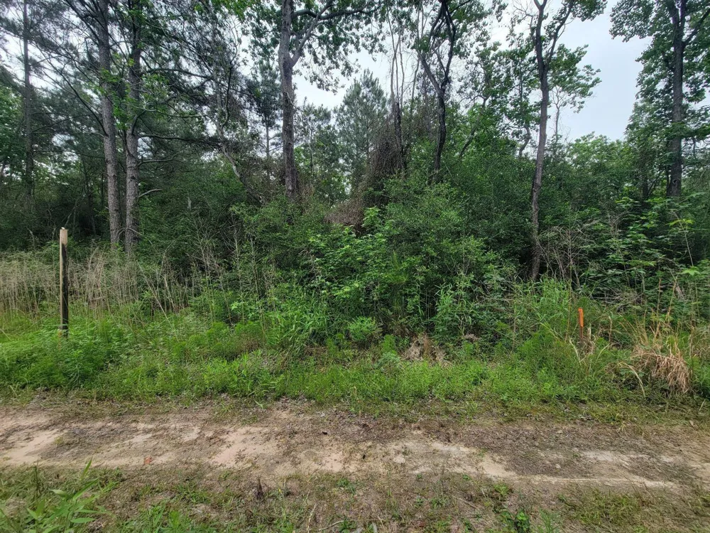 Hardy Rd Houston, TX 77073