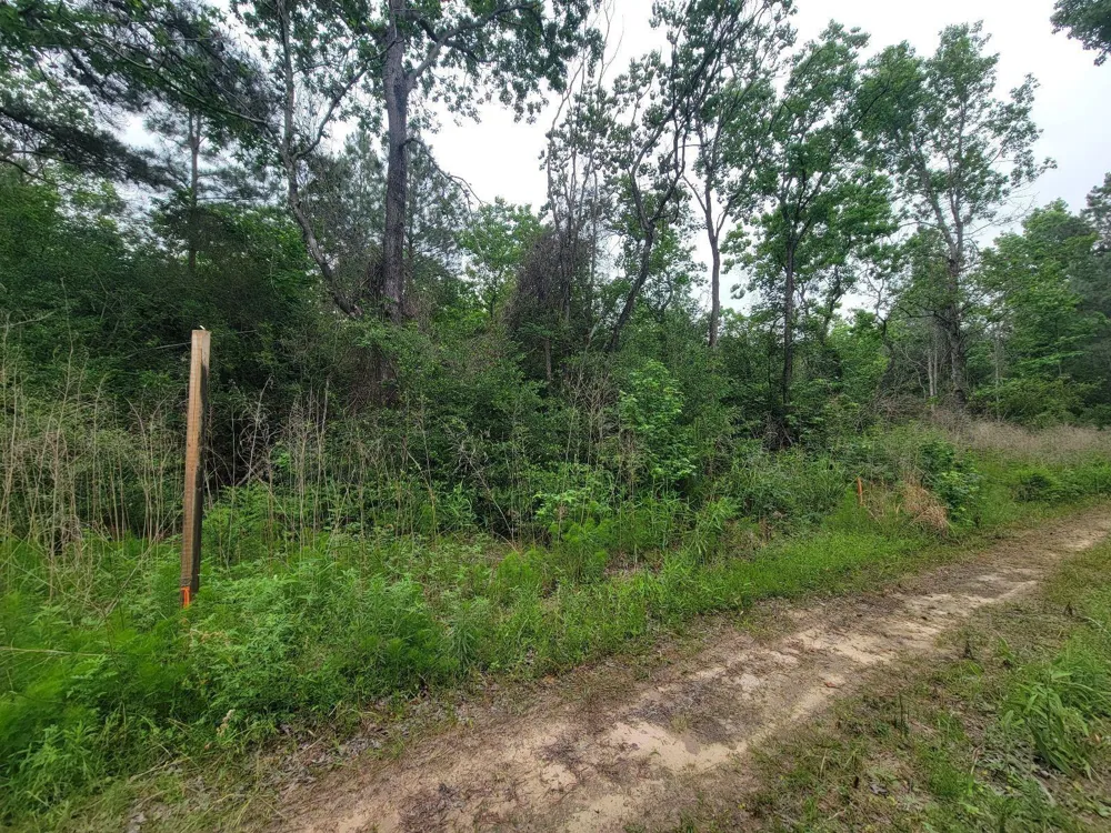 Hardy Rd Houston, TX 77073