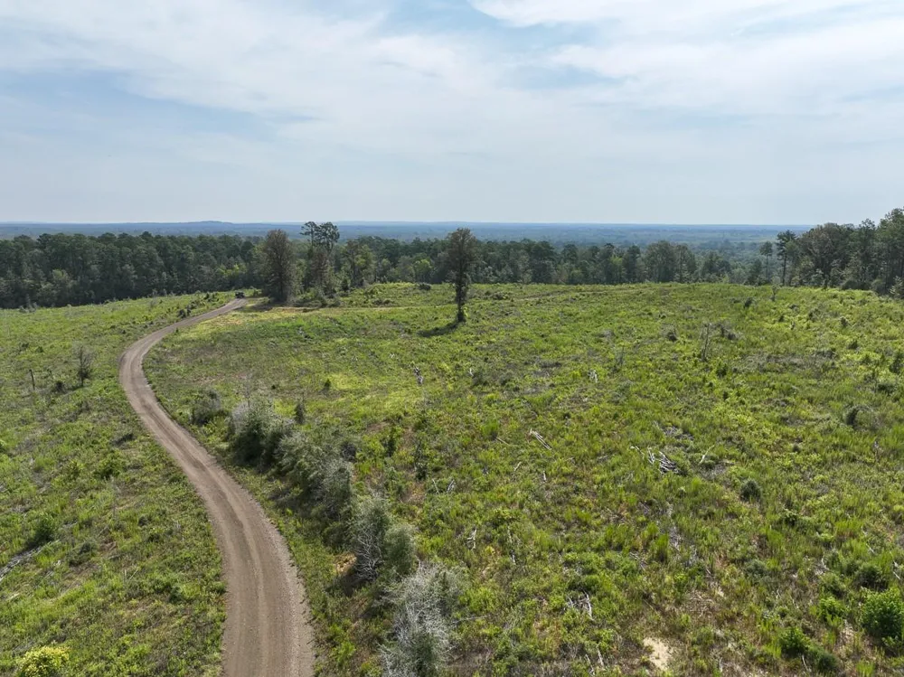 1 County Road 3725 Colmesneil, TX 75938