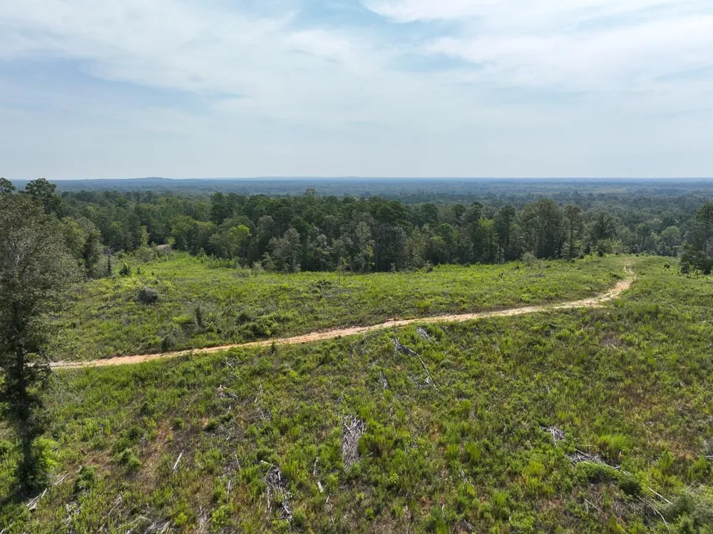 1 County Road 3725 Colmesneil, TX 75938