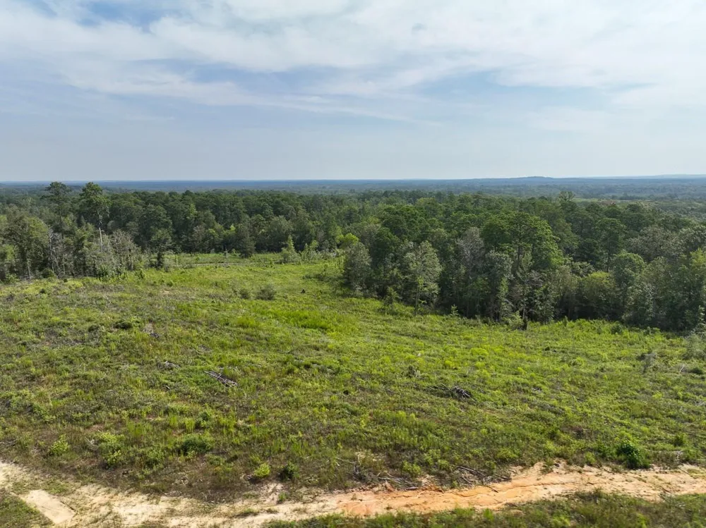 1 County Road 3725 Colmesneil, TX 75938