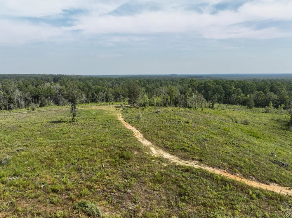 1 County Road 3725 Colmesneil, TX 75938