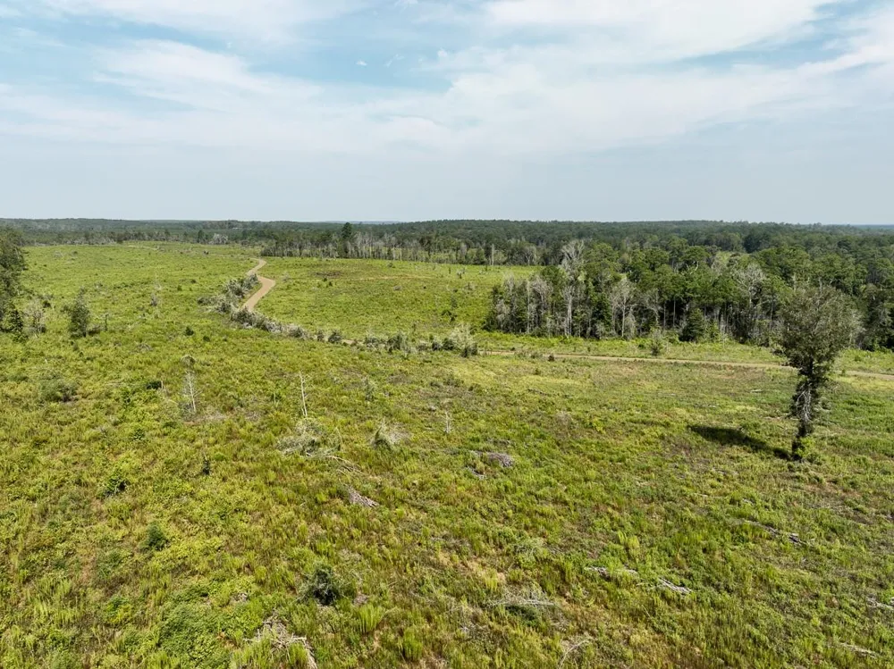 1 County Road 3725 Colmesneil, TX 75938