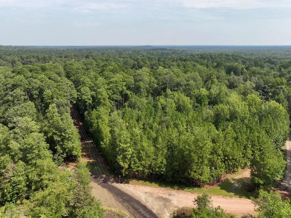 1 County Road 3725 Colmesneil, TX 75938