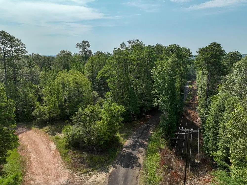 1 County Road 3725 Colmesneil, TX 75938