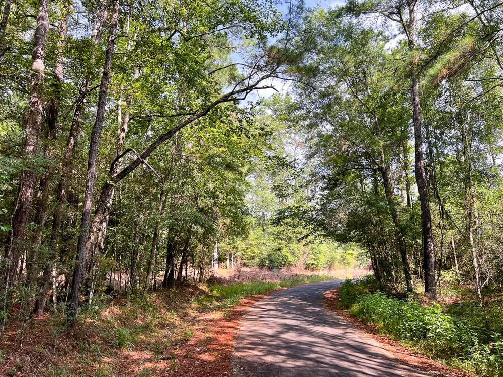 1 County Road 3725 Colmesneil, TX 75938
