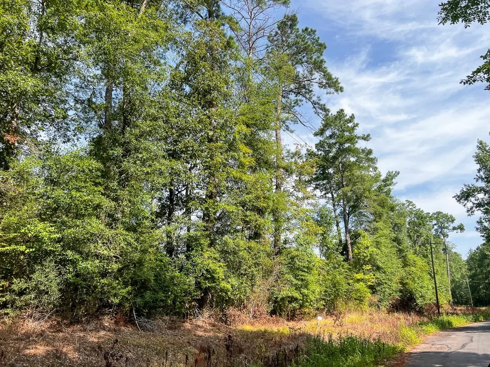1 County Road 3725 Colmesneil, TX 75938