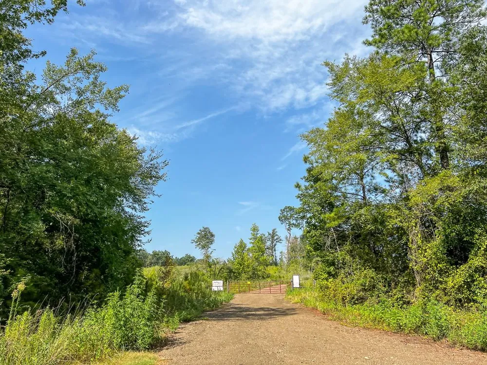 1 County Road 3725 Colmesneil, TX 75938