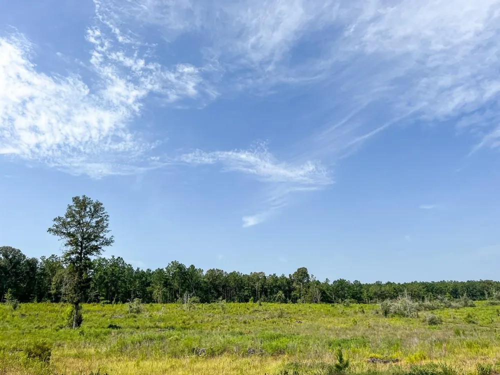 1 County Road 3725 Colmesneil, TX 75938