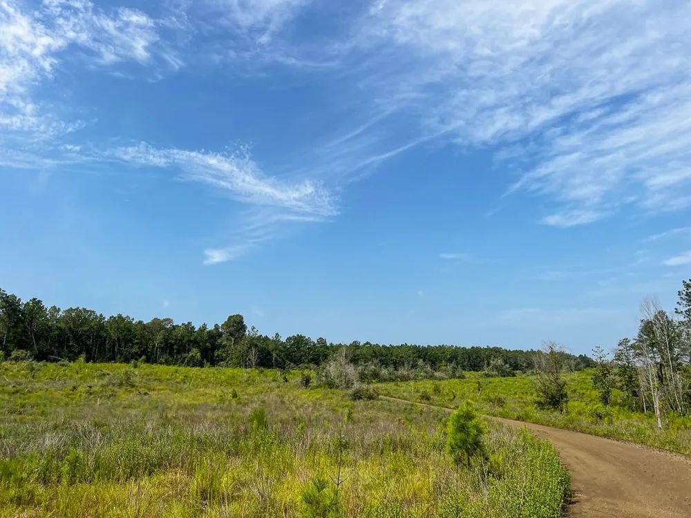 1 County Road 3725 Colmesneil, TX 75938