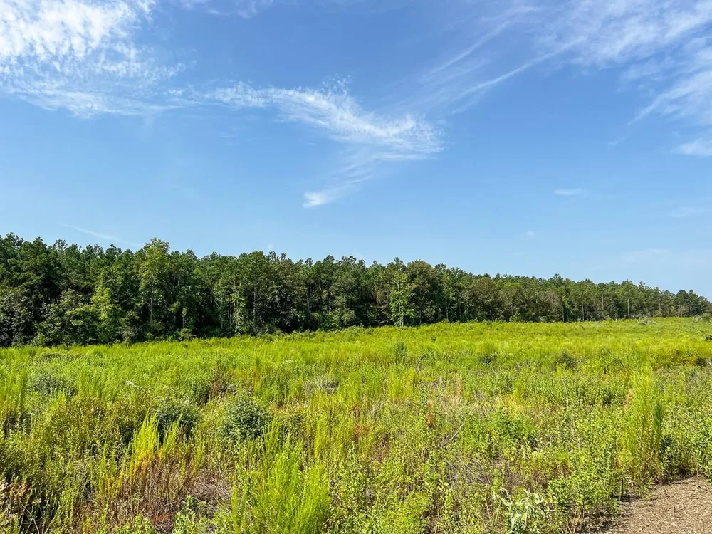 1 County Road 3725 Colmesneil, TX 75938