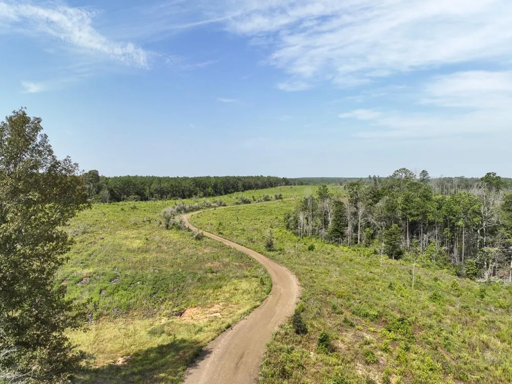 1 County Road 3725 Colmesneil, TX 75938