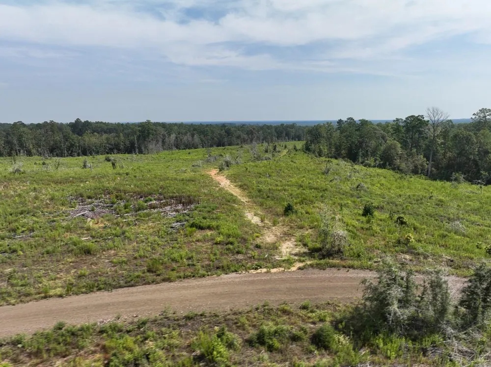 1 County Road 3725 Colmesneil, TX 75938