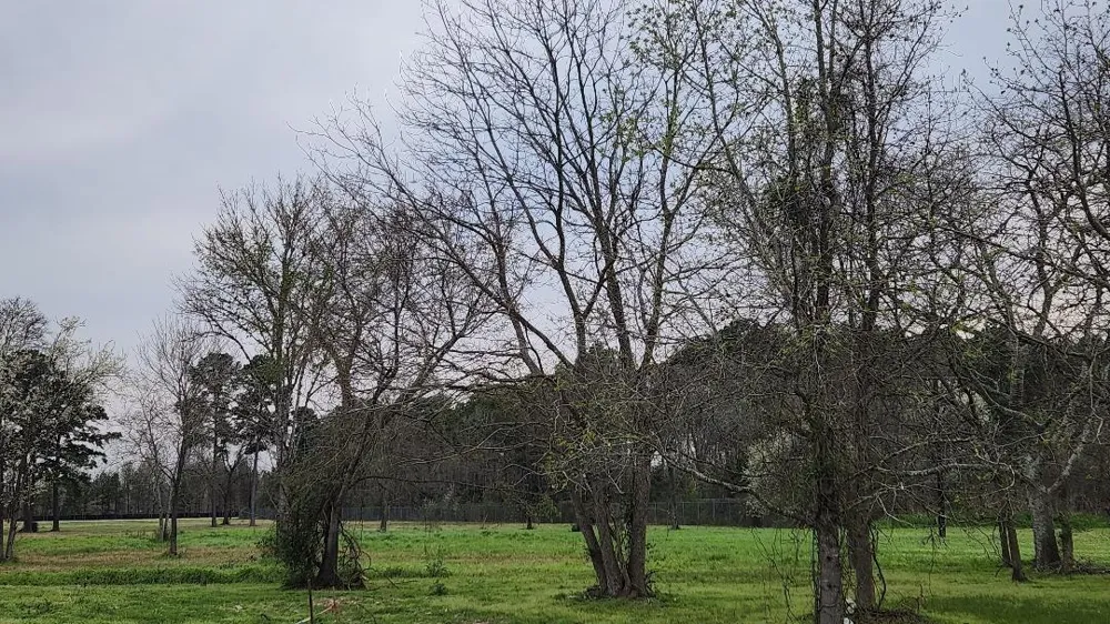 Indian Shores Road Crosby, TX 77532
