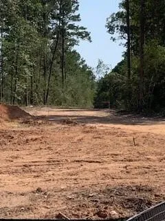 30227 Oak Lane Magnolia, TX 77354