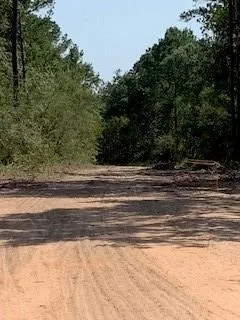 30227 Oak Lane Magnolia, TX 77354