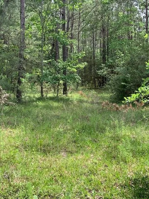 30227 Oak Lane Magnolia, TX 77354