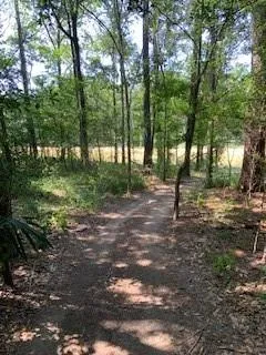 30227 Oak Lane Magnolia, TX 77354