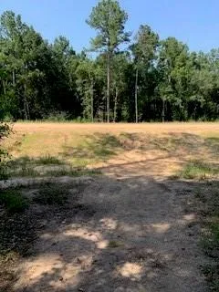 30227 Oak Lane Magnolia, TX 77354