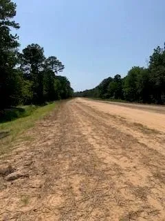 30227 Oak Lane Magnolia, TX 77354