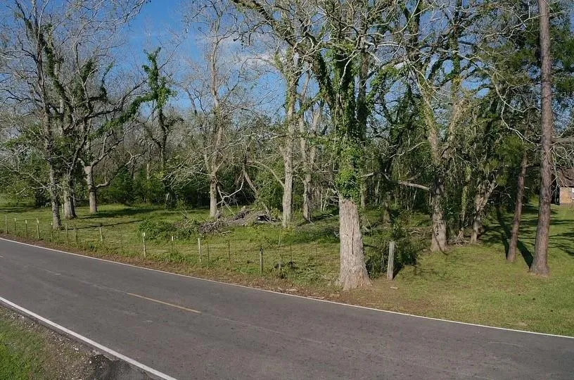County Road 42 Brazoria, TX 77583