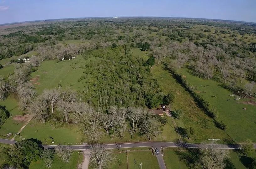 County Road 42 Brazoria, TX 77583