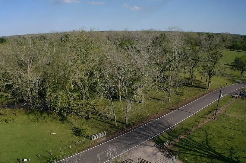 County Road 42 Brazoria, TX 77583