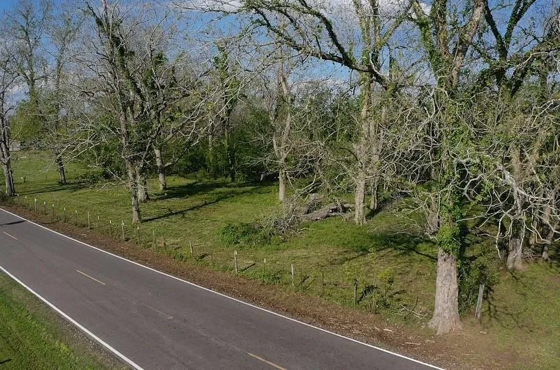 County Road 42 Brazoria, TX 77583