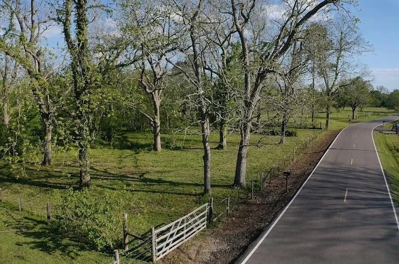 County Road 42 Brazoria, TX 77583