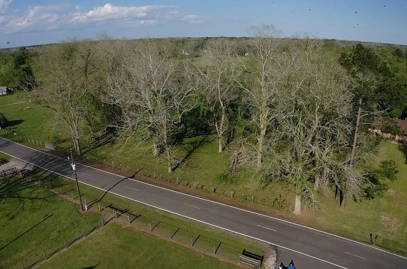 County Road 42 Brazoria, TX 77583