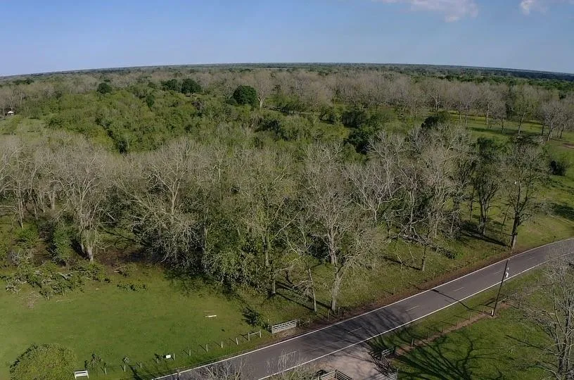 County Road 42 Brazoria, TX 77583