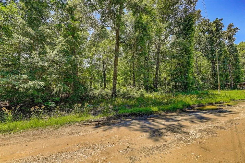 431 Parkpine Street Livingston, TX 77351