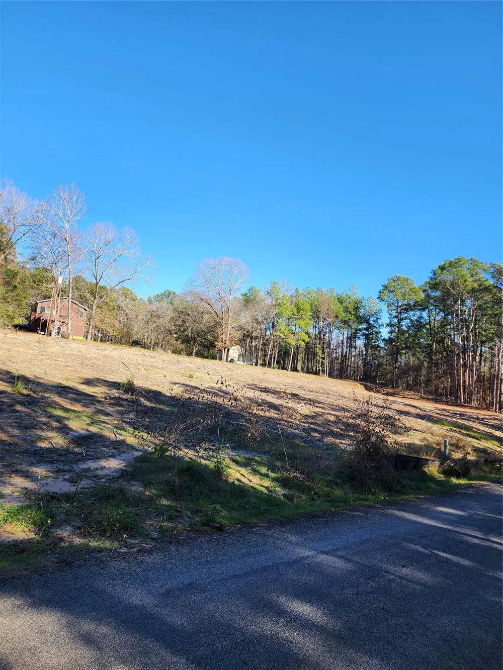 425 Echo Hills Lane Livingston, TX 77351