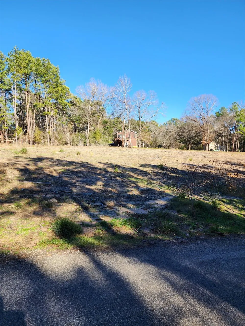 425 Echo Hills Lane Livingston, TX 77351