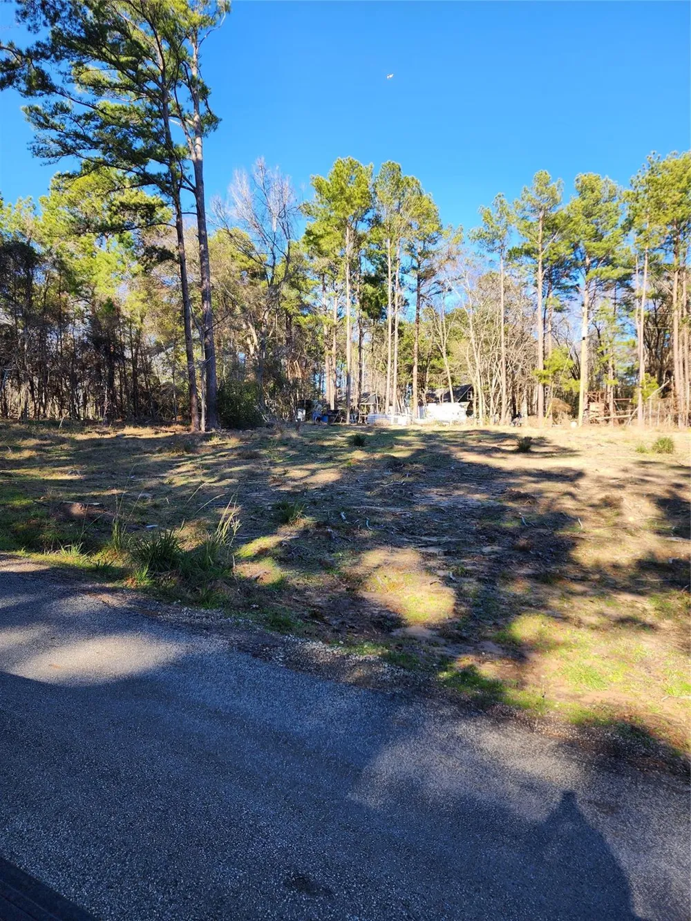 428 Echo Hills Lane Livingston, TX 77351