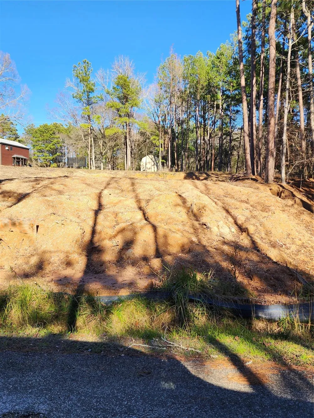 428 Echo Hills Lane Livingston, TX 77351