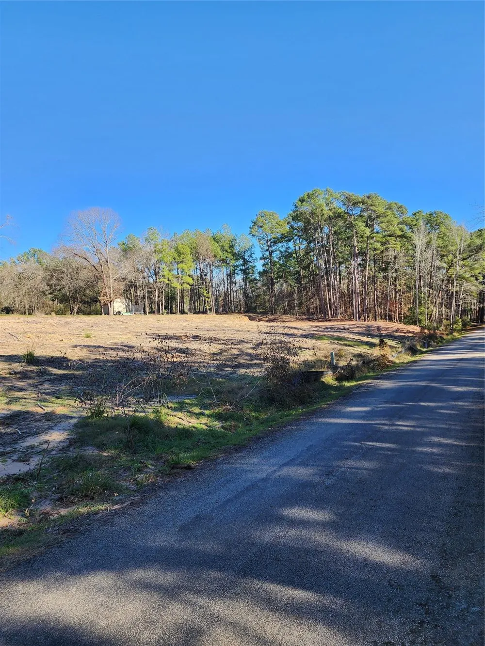 428 Echo Hills Lane Livingston, TX 77351
