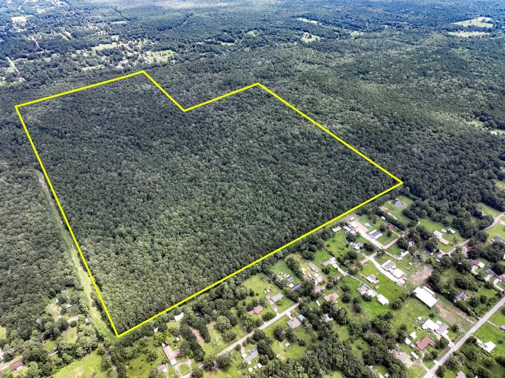 Ellis Lane Vidor, TX 77662