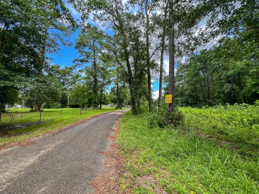Ellis Lane Vidor, TX 77662