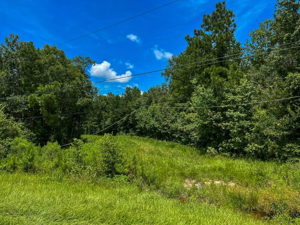 Fm 1132 Vidor, TX 77662