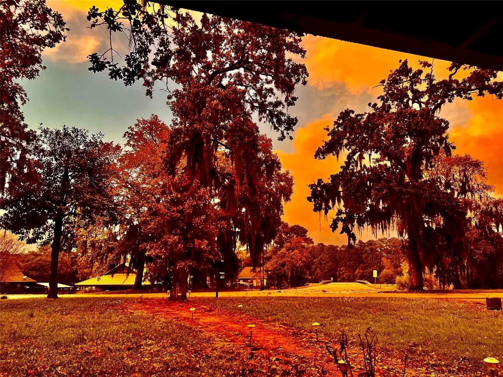 66 Hillsborough Drive Huntsville, TX 77340