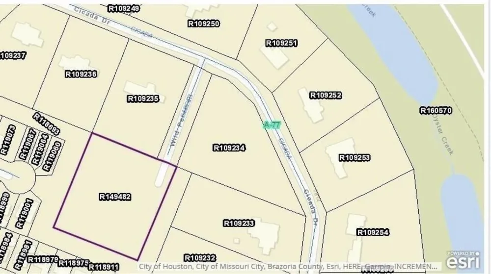 Saddle Drive Missouri City, TX 77459